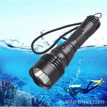 1200 Lumen USB Lampal de torche en aluminium rechargeable